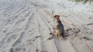 What a beautiful sight