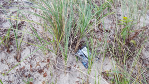 We found some more rubbish!