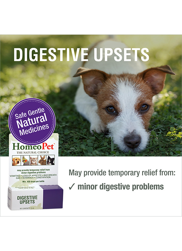DIGESTIVE UPSETS - Image 3