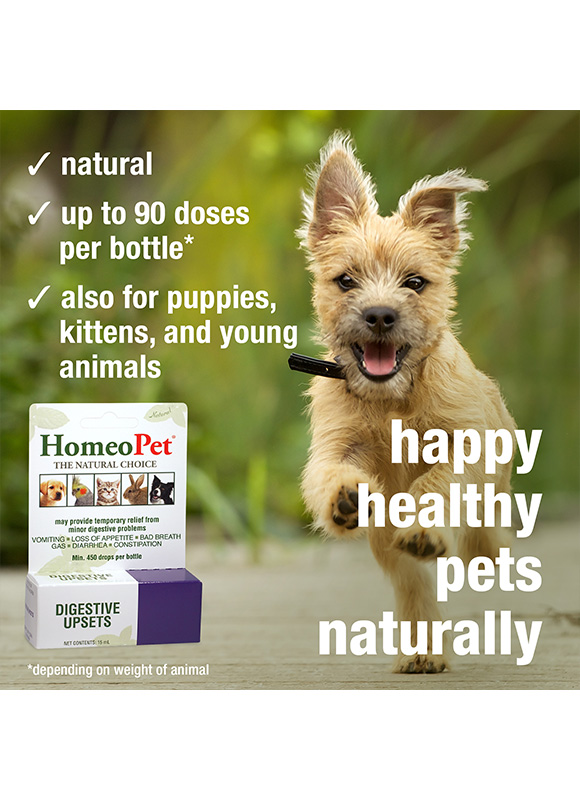 DIGESTIVE UPSETS - Image 6