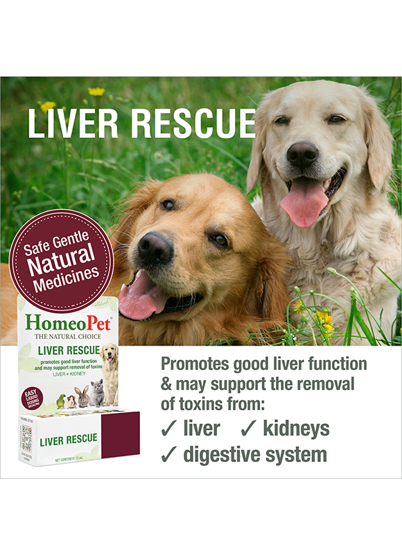 LIVER RESCUE - Image 3