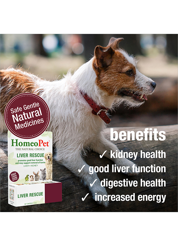 LIVER RESCUE - Image 4