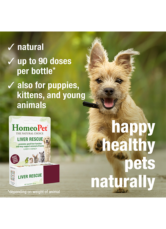 LIVER RESCUE - Image 5