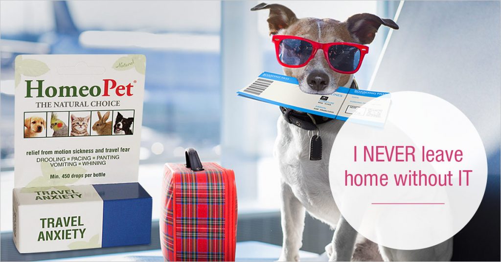 Travel Anxiety Offer