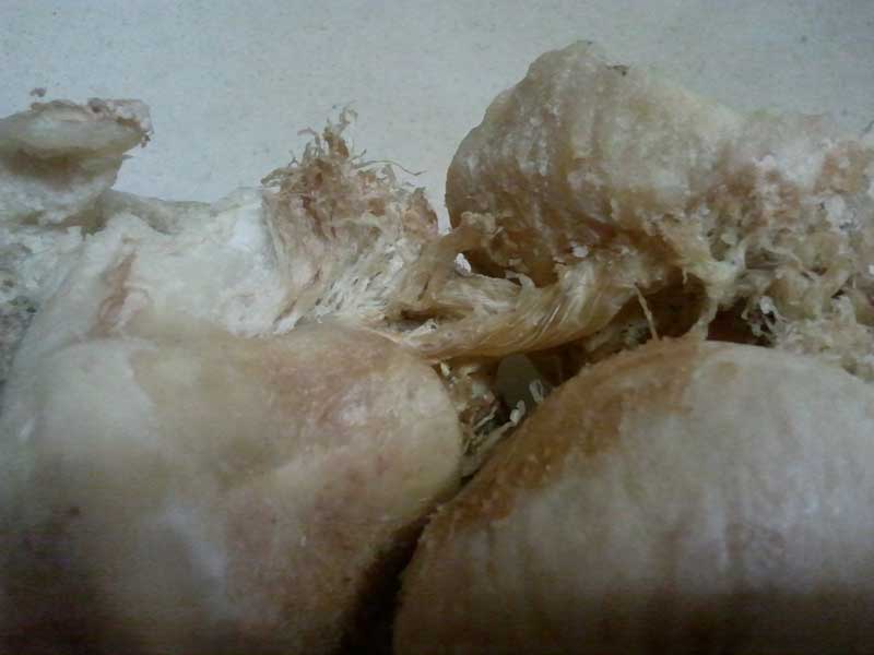 bones as dental floss