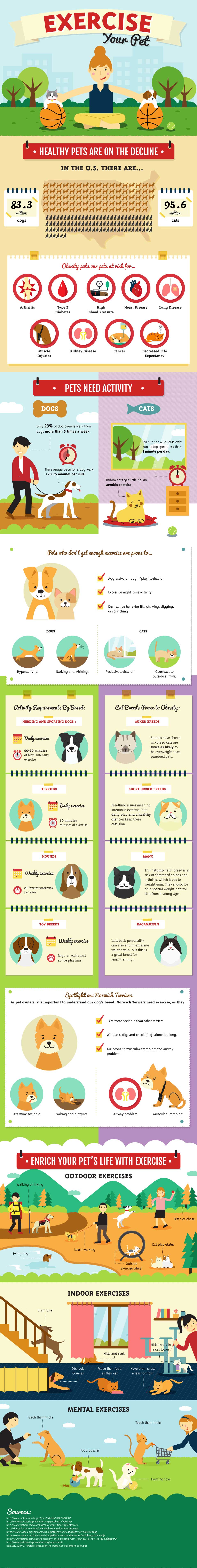 Pet Exercise Infographic