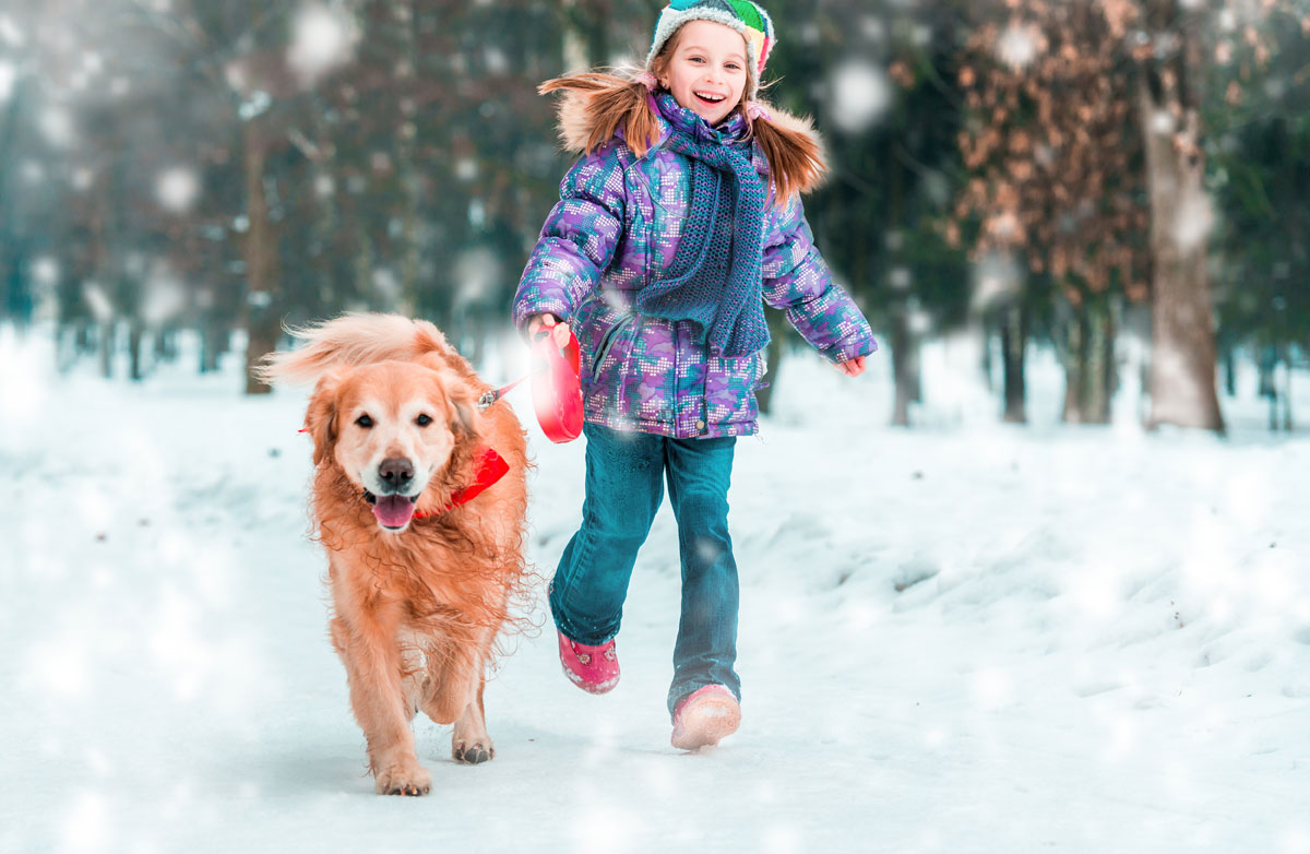 Winter-fun-with-your-dog