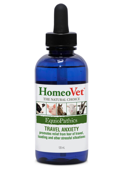 EquioPathics TRAVEL ANXIETY