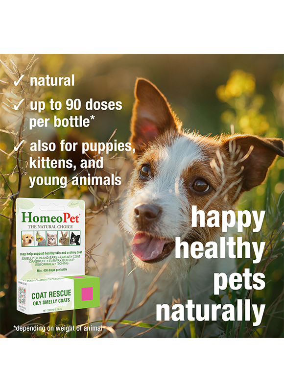 COAT RESCUE - Image 5