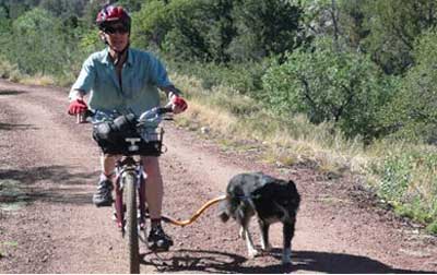 Bike Tow Leash