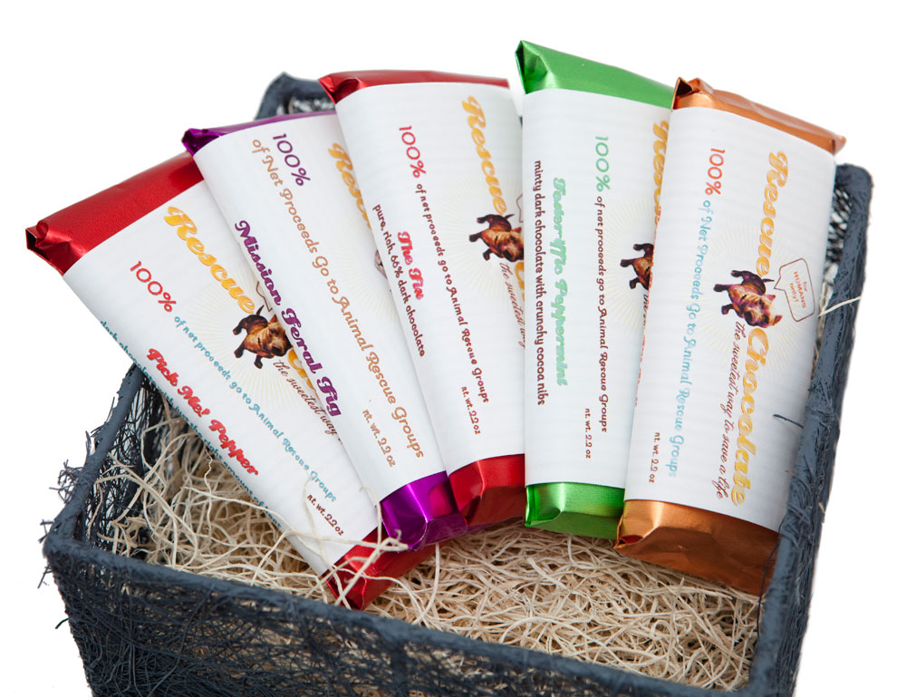 rescue-chocolate-5-Paw