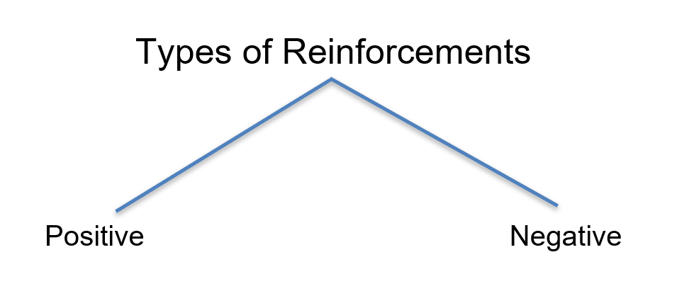 Types of reinforcement in pets