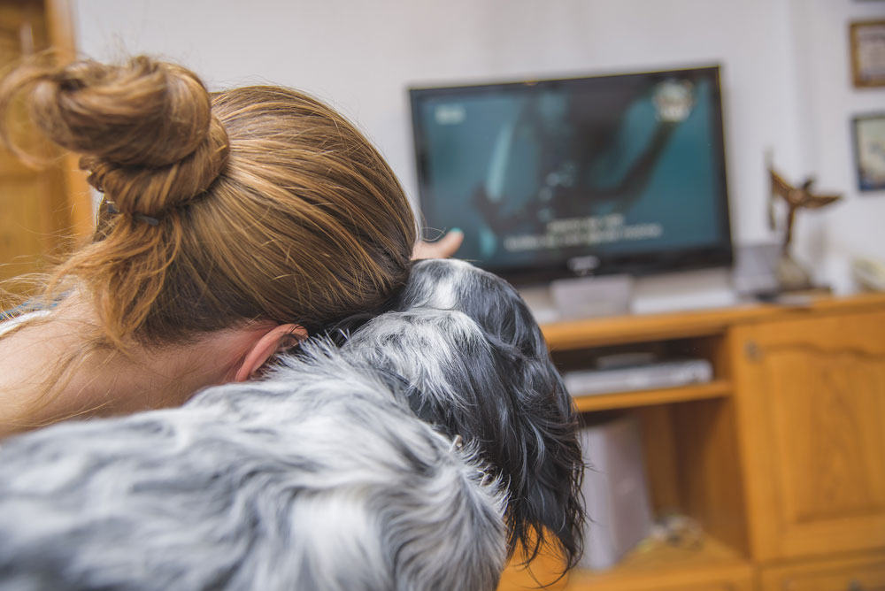 watching-tv-with-your-dog