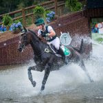 Horseware-Ardagh-Highlight-(ISH)-at-World-Equestrian-Games