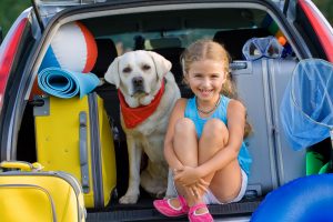 pet-holiday-travel