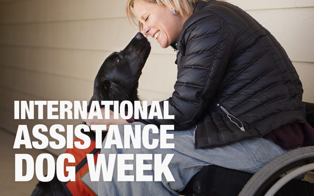 HP_Blog_AssistanceDogWeek_02_1080x675