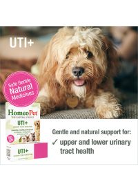 HomeoPet UTI+ 02