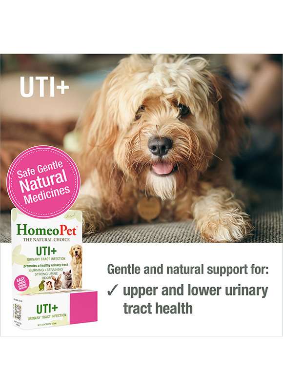 HomeoPet UTI+ 02