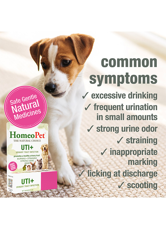 HomeoPet UTI+ 03