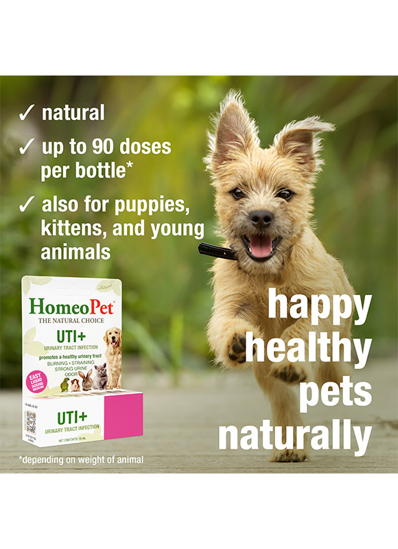 HomeoPet UTI+ 04