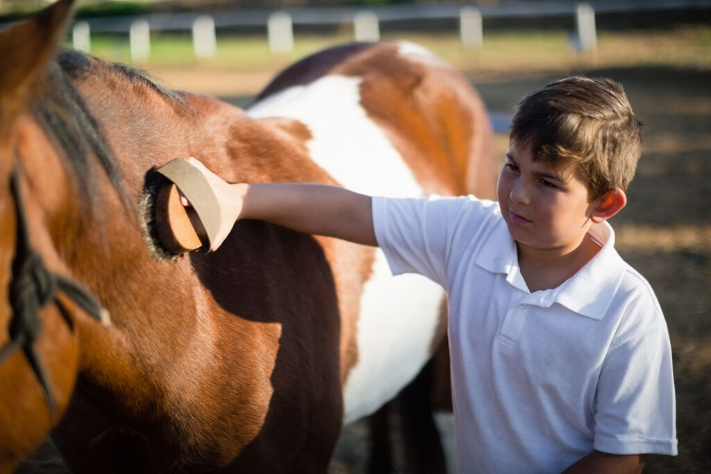 boy-grooming-horse