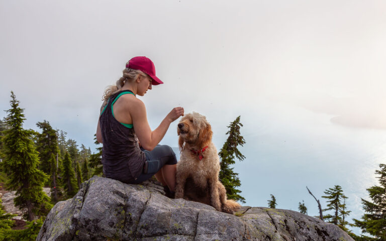hiking with your dog