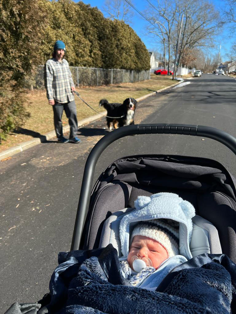 introducing pets to children